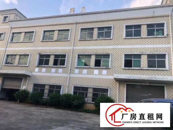  望牛墩已空出，总面积6000平方厂房出租，加精装修办公室
