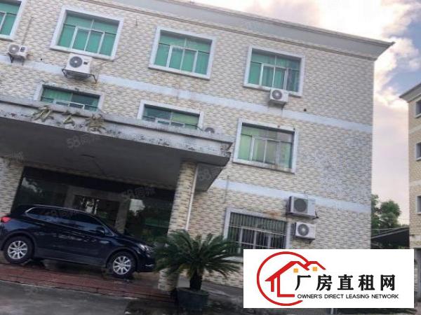  望牛墩已空出，总面积6000平方厂房出租，加精装修办公室