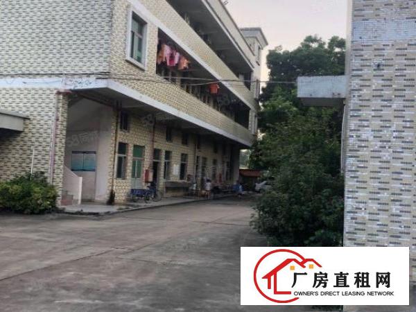  望牛墩已空出，总面积6000平方厂房出租，加精装修办公室