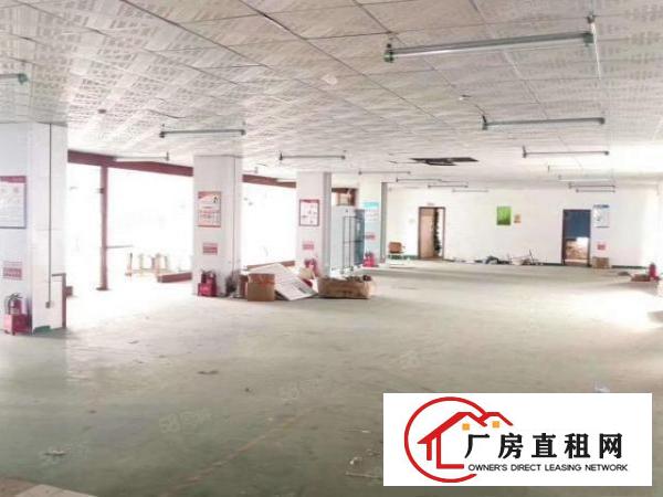  望牛墩新出原房东厂房招租