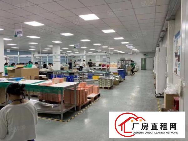  望牛墩新出原房东厂房招租