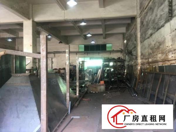  望牛墩新出原房东厂房招租