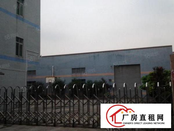  望牛墩独门独院单一层2000平方，独院3000平方急租