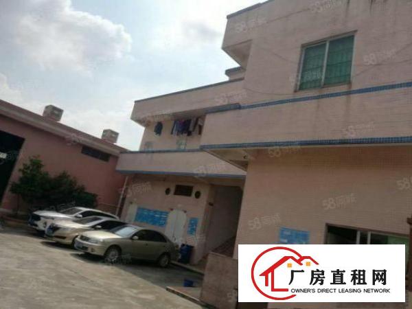  望牛墩工业园内1800平方单一层厂房