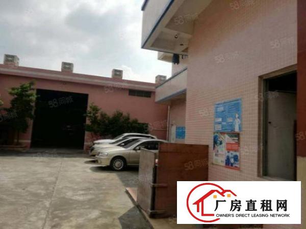  望牛墩工业园内1800平方单一层厂房