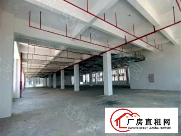  东莞大型产业园中心招租形象好，用电无忧，12万平可整租分租