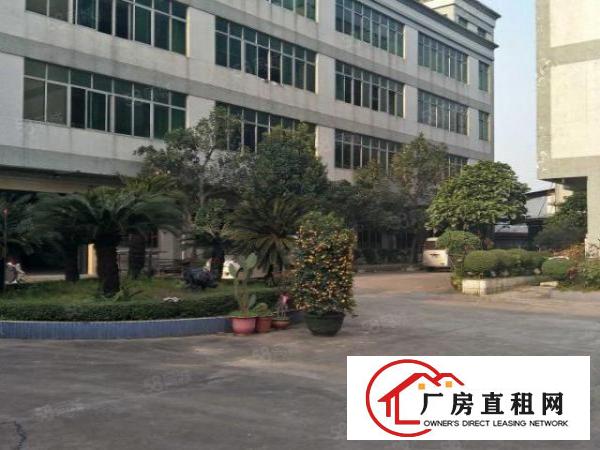 望牛墩外资企业独院厂房6000方出租，园林式厂房