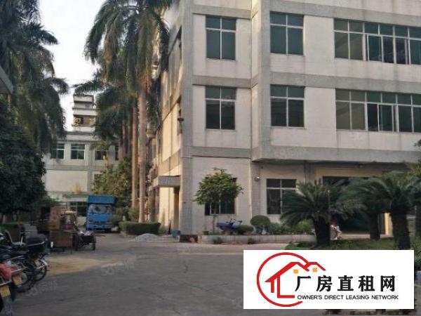  望牛墩外资企业独院厂房6000方出租，园林式厂房