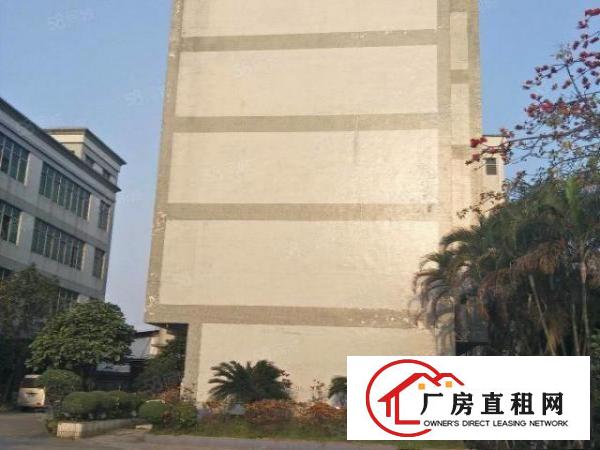  望牛墩外资企业独院厂房6000方出租，园林式厂房