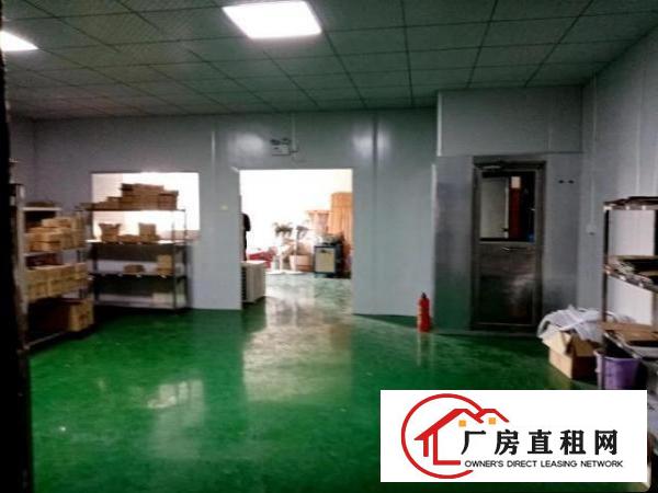  出租望牛墩城区480平方厂房现成装修价格便宜水电齐全