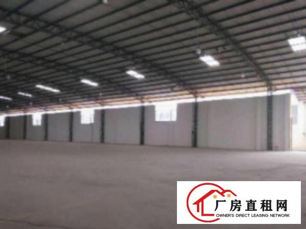 望牛墩3500平方单一层厂房出租‌‌‌‌，厂房楼高7米