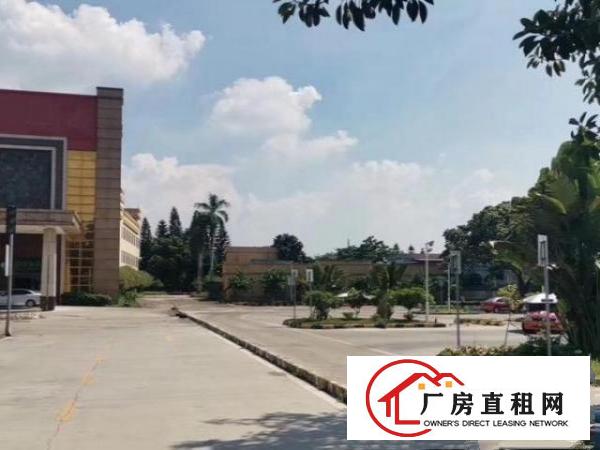  出租望牛墩镇13680平方米洒店