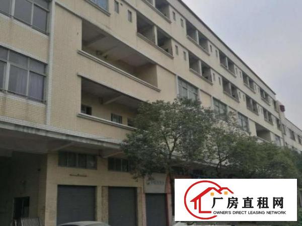  望牛墩周边300-2000平方厂房招租出租‌‌厂内装修齐全