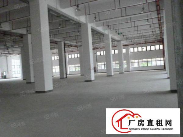  望牛墩出租标准楼层从4150平方消防有证可分租或整租
