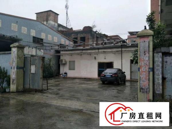  望牛墩镇独院2000方单一层厂房业主直租（房源属实)