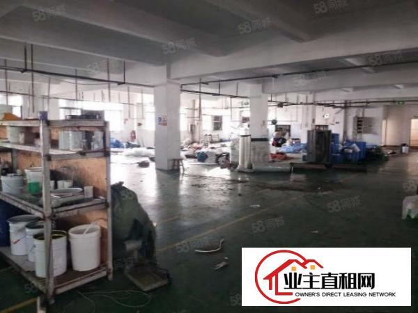  望牛墩新出原房东独门独院厂房6450