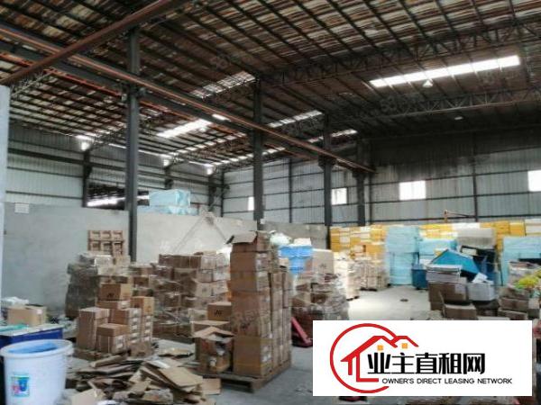  望牛墩新出原房东独门独院厂房6450