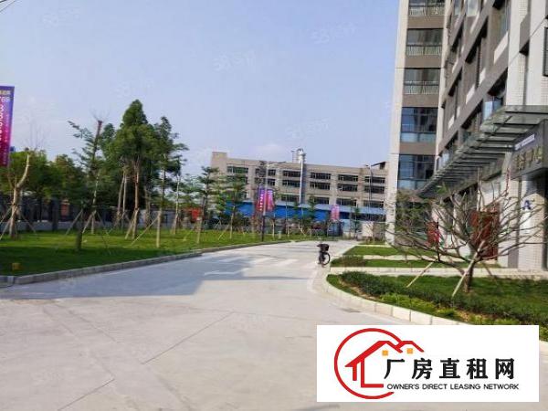  望牛墩全新厂房一楼带牛角7.5米带消防喷淋