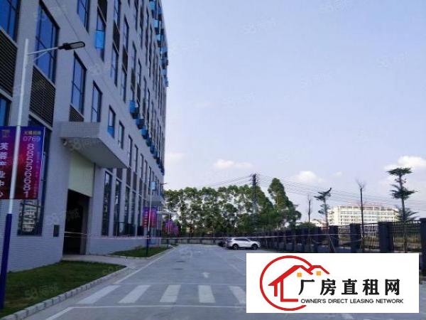  望牛墩全新厂房一楼带牛角7.5米带消防喷淋