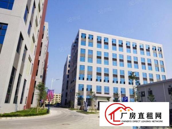  望牛墩全新厂房一楼带牛角7.5米带消防喷淋
