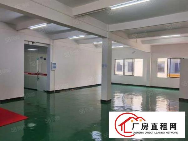  望牛墩全新厂房一楼带牛角7.5米带消防喷淋