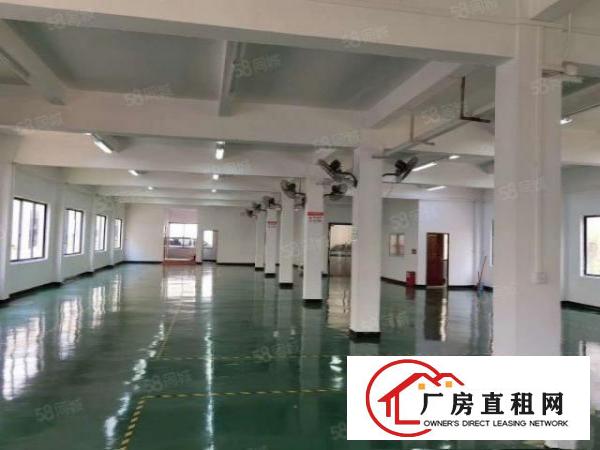  望牛墩全新厂房一楼带牛角7.5米带消防喷淋