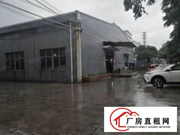  望牛墩单一层独院厂房面积7000平方可以整了租分租