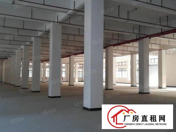  望牛墩全新独门独院重工业厂房带红本国有土地证一楼9米楼上7米