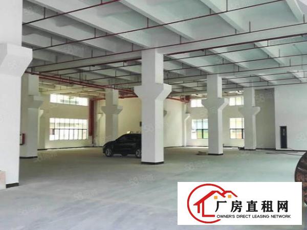  望牛墩全新独门独院重工业厂房带红本国有土地证一楼9米楼上7米