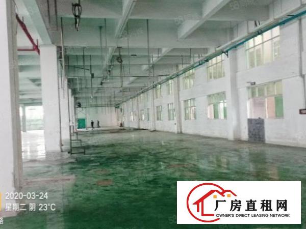  望牛墩全新独门独院重工业厂房带红本国有土地证一楼9米楼上7米