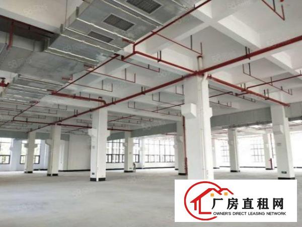  望牛墩全新独门独院重工业厂房带红本国有土地证一楼9米楼上7米