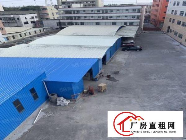  出租望牛墩路口。钢结构单一层700平方