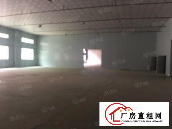  望牛墩新出原房东9米高独院单一层厂房招租