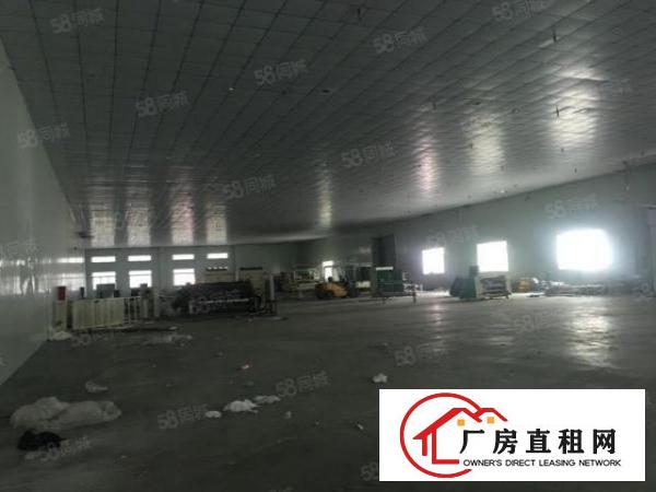  望牛墩新出原房东9米高独院单一层厂房招租
