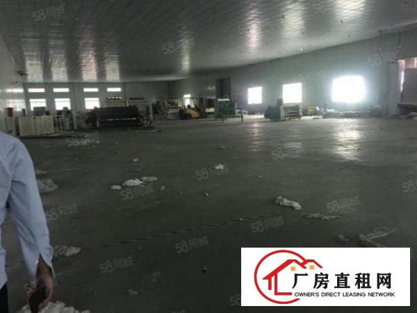  望牛墩新出原房东9米高独院单一层厂房招租