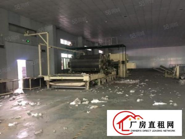  望牛墩新出原房东9米高独院单一层厂房招租