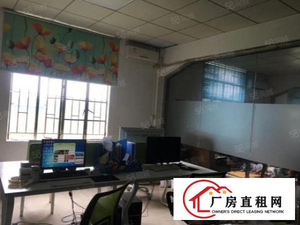  望牛墩新出原房东9米高独院单一层厂房招租