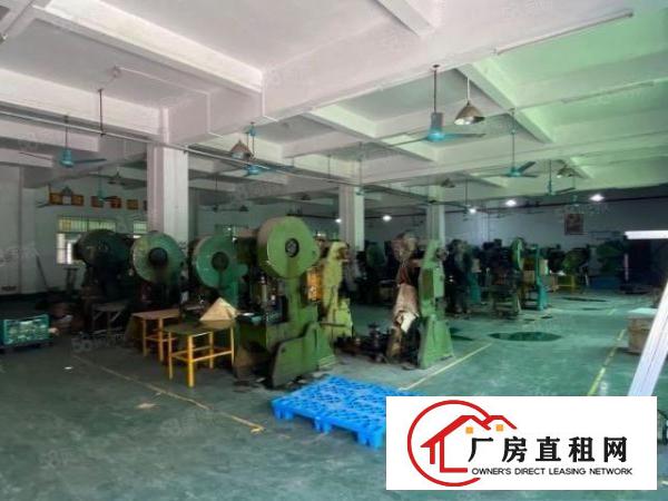  望牛墩一手房东5000平米独院大空地