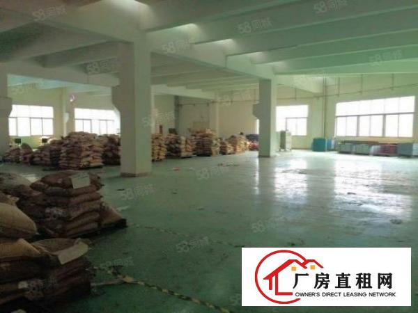  望牛墩原房东2层厂房800平方，有现成办公室，精装车间