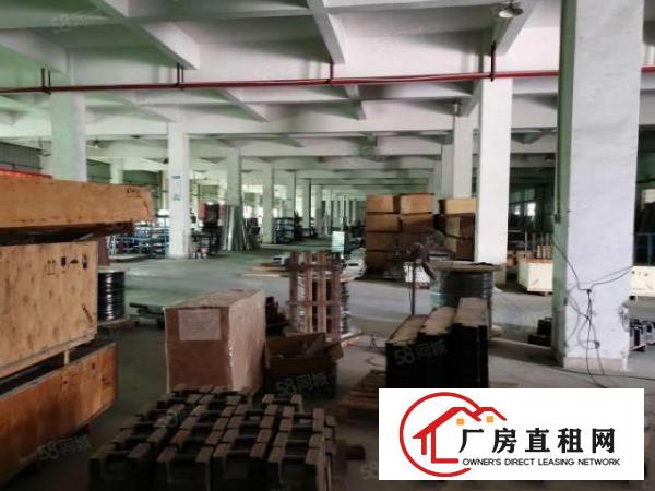  望牛墩直租厂房2700平方，滴水9米高，两层配大吨位电梯。