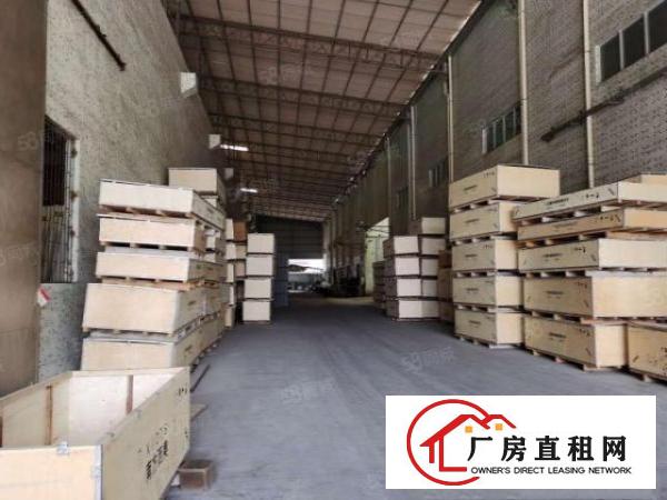  望牛墩直租厂房2700平方，滴水9米高，两层配大吨位电梯。