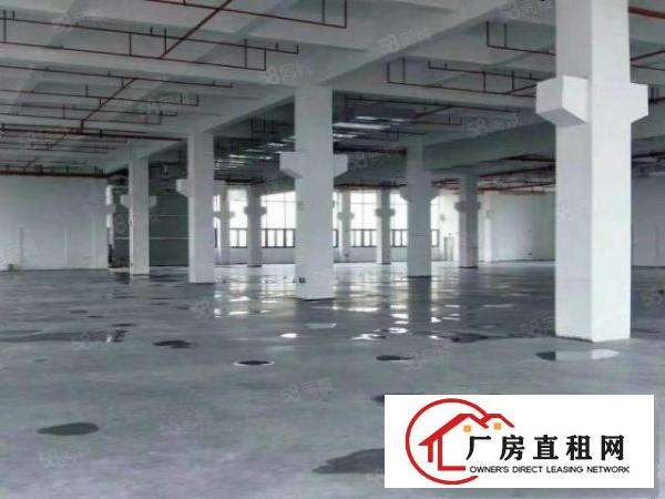  望牛墩花园式厂房，证件齐全，可办环评