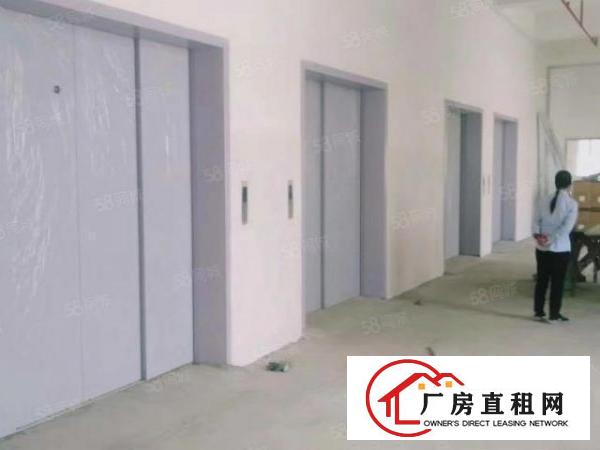  望牛墩花园式厂房，证件齐全，可办环评