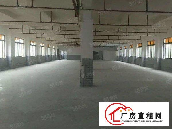  望牛墩出租标准楼层厂房7000平方有独立变压器
