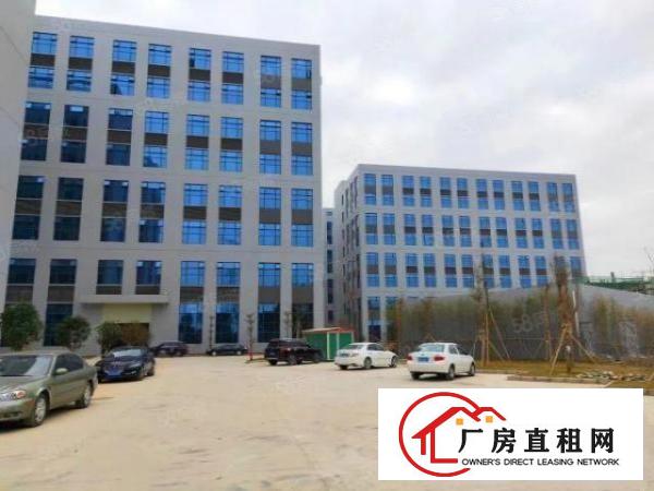  望牛墩镇大型工业园厂房出租（可分层租）