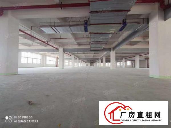  望牛墩工业区原房东单一层2000平方厂房出租，租金13