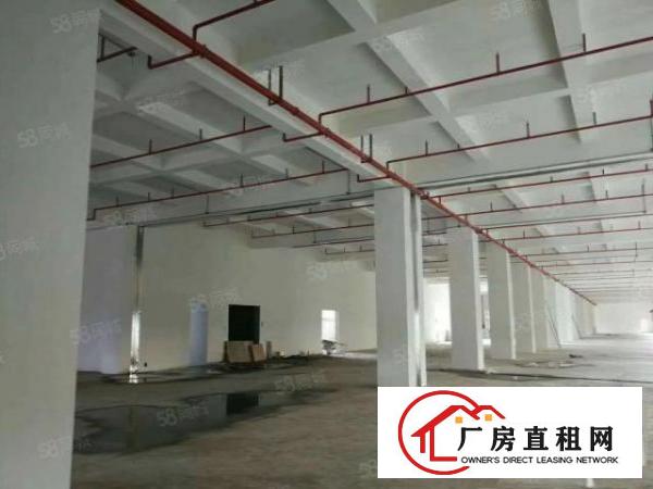  望牛墩工业区原房东单一层2000平方厂房出租，租金13