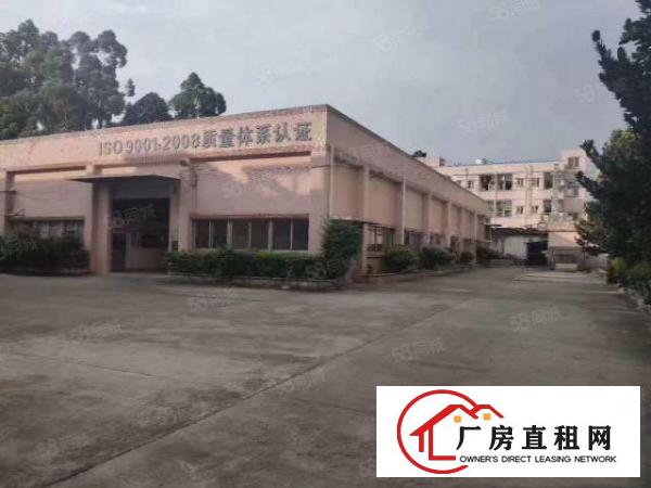  望牛墩工业区原房东单一层2000平方厂房出租，租金13