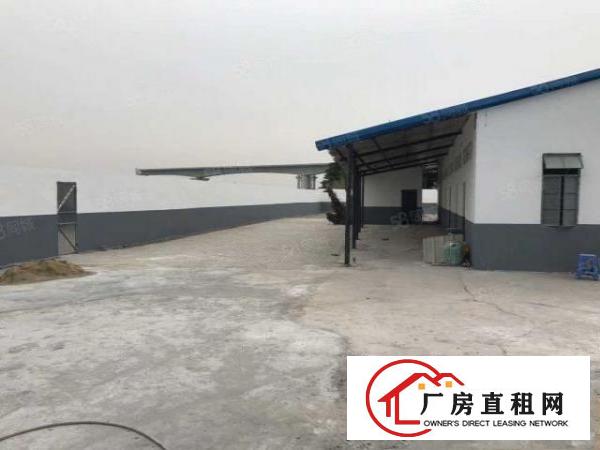  望牛墩超大空地独门独院单一层1500方厂房出租，整体地皮价