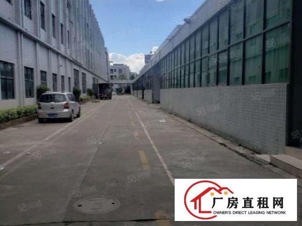  望牛墩新出单一层独院带现成喷涂，喷漆环评厂房招租